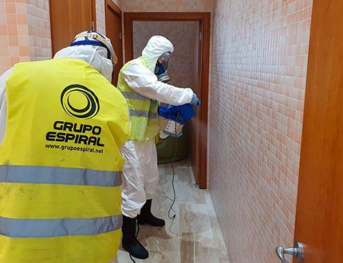 Desinfección CoronaVirus COVID-19 en empresas, negocios y vehículos